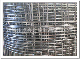 熱鍍鋅草原網(wǎng) 優(yōu)質草原防護網(wǎng)價格、廠家與產品介紹